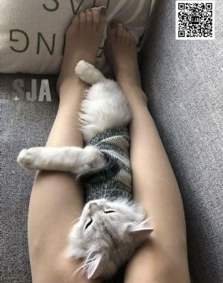 p影院永久免费p视频
